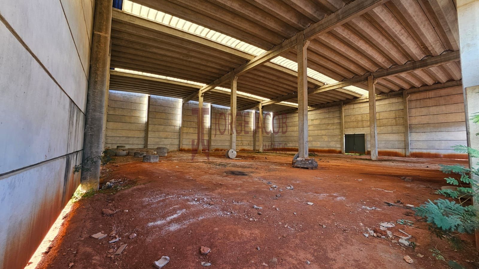 Foto 6