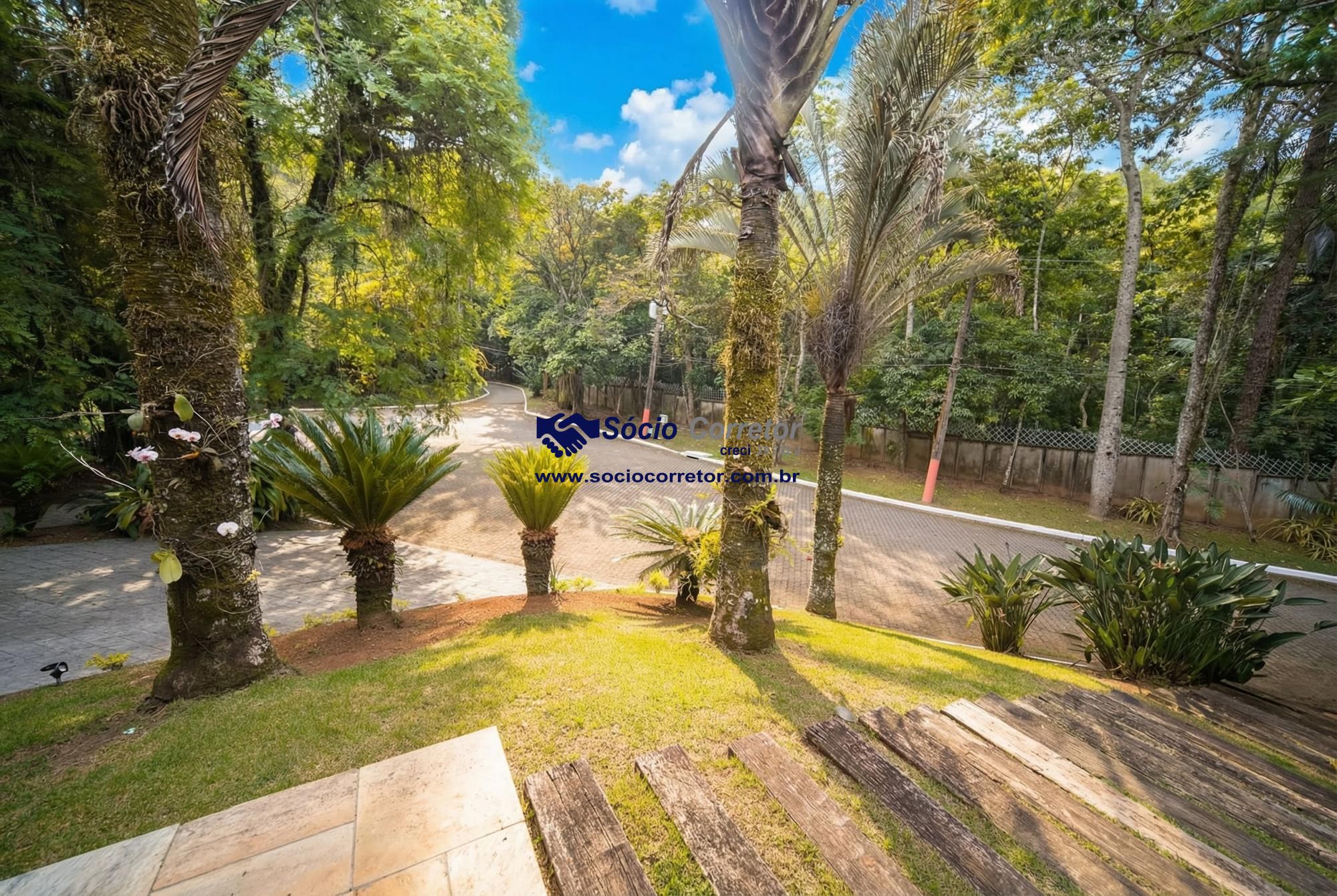 Casa, 4 quartos, 666 m² - Foto 12