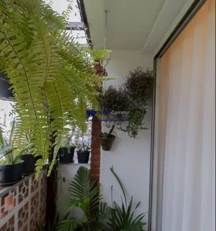 Apartamento, 3 quartos, 80 m² - Foto 8