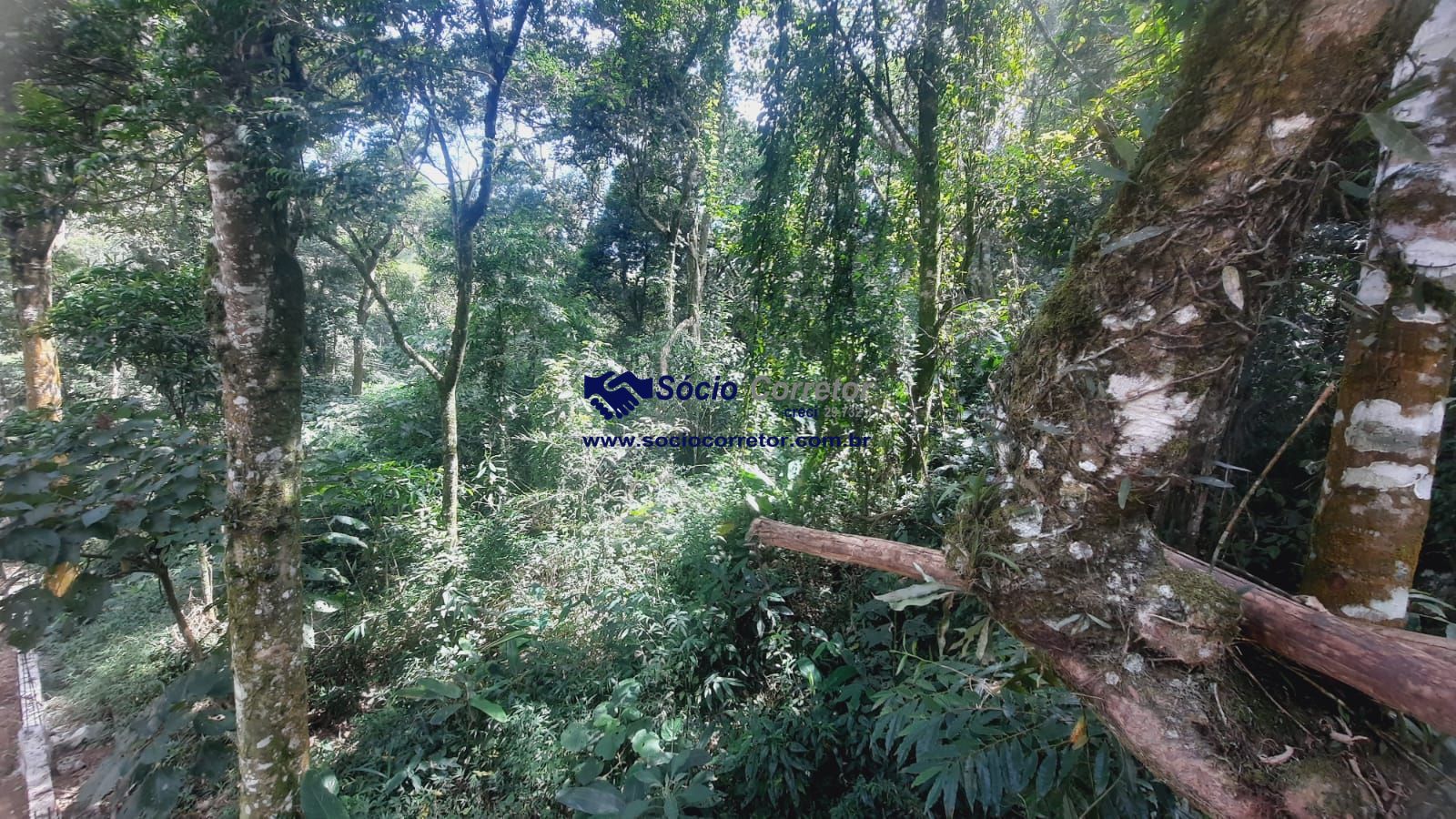 Terreno, 1250 m² - Foto 13