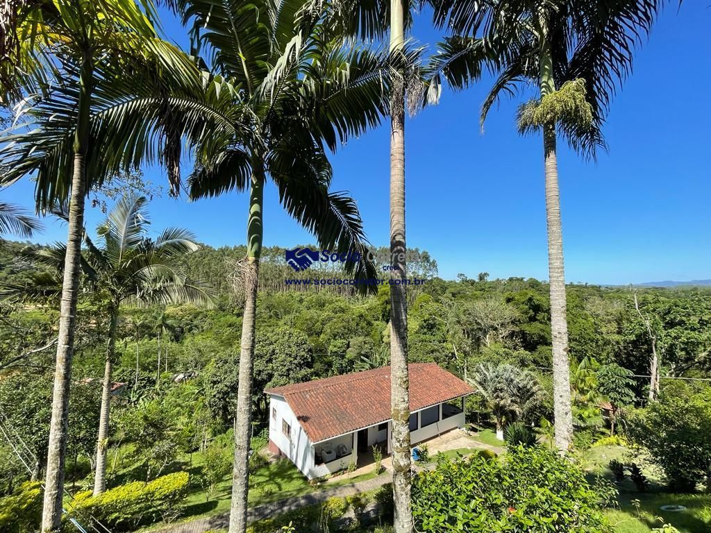 Chácara, 4 quartos, 2 hectares - Foto 28