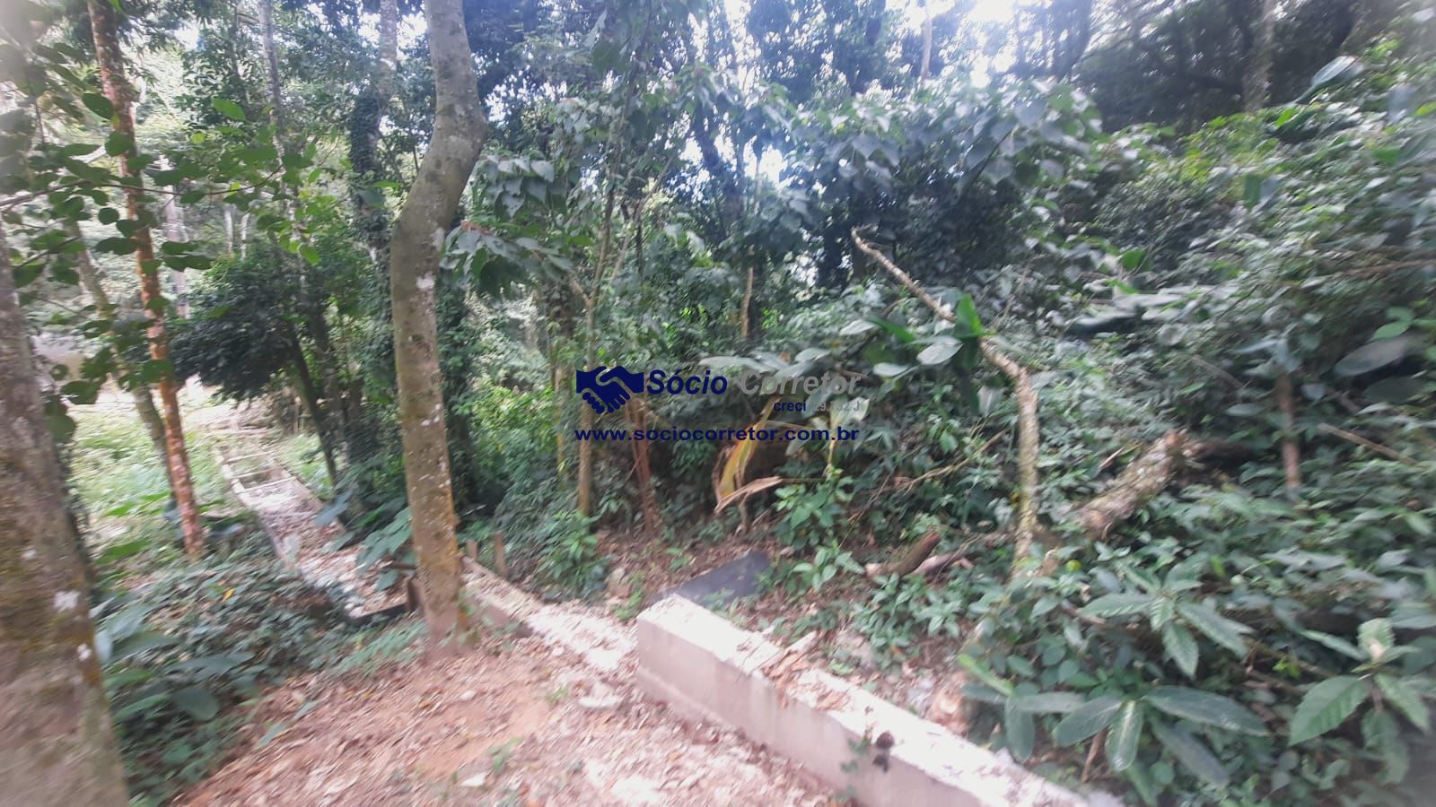 Terreno, 1250 m² - Foto 8