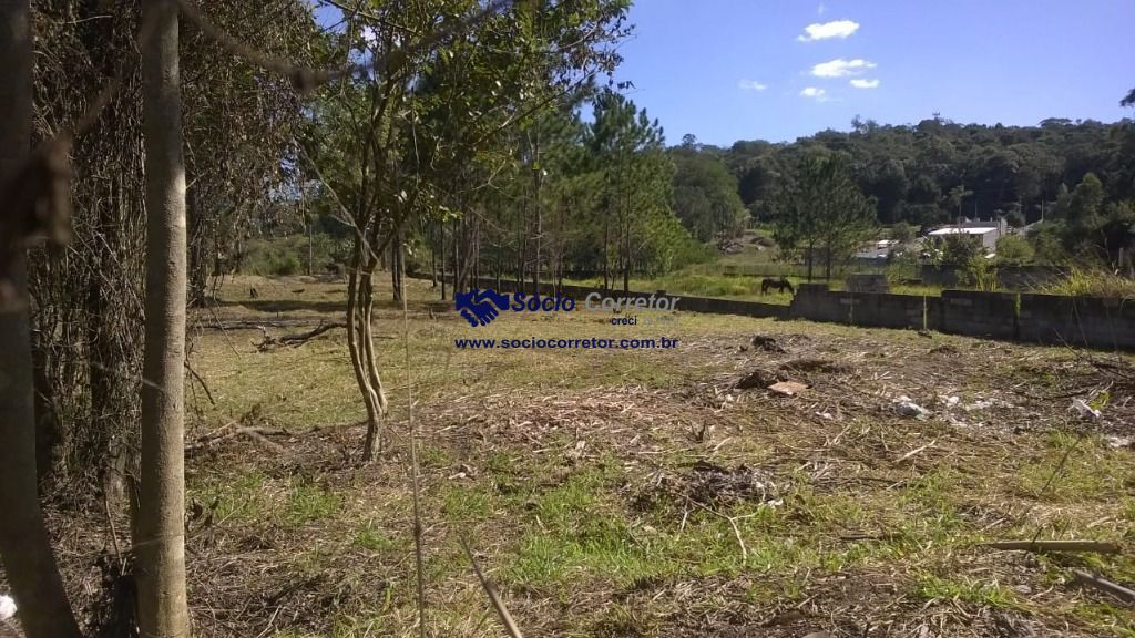 Terreno, 1500 m² - Foto 4