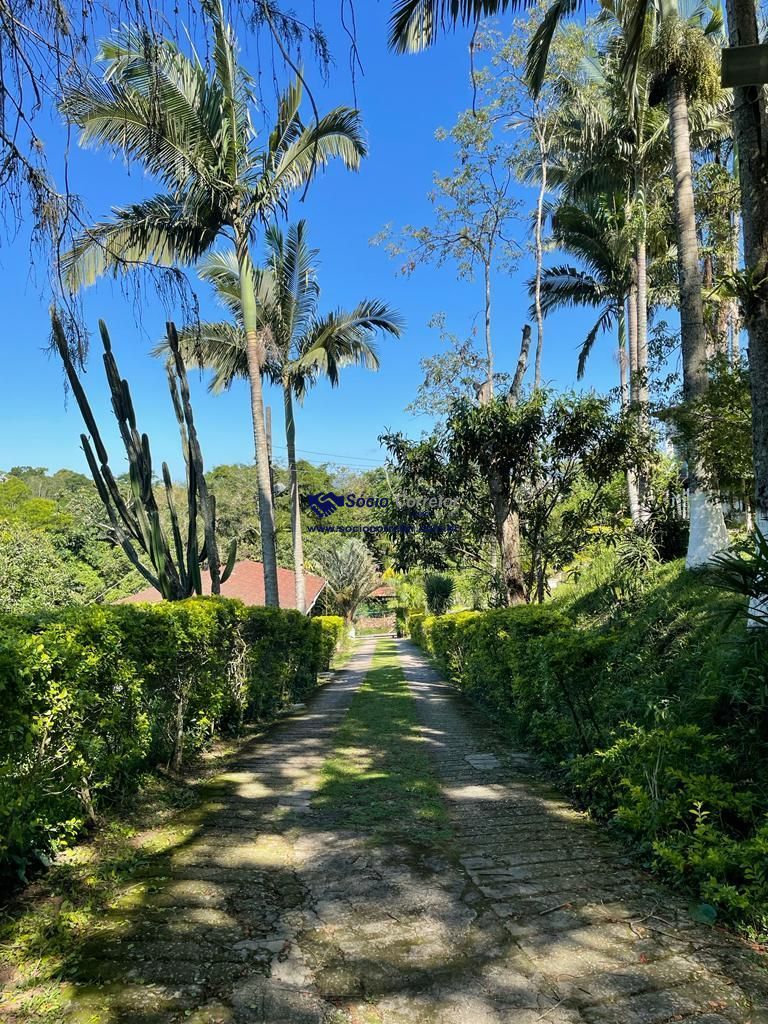 Chácara, 4 quartos, 2 hectares - Foto 7