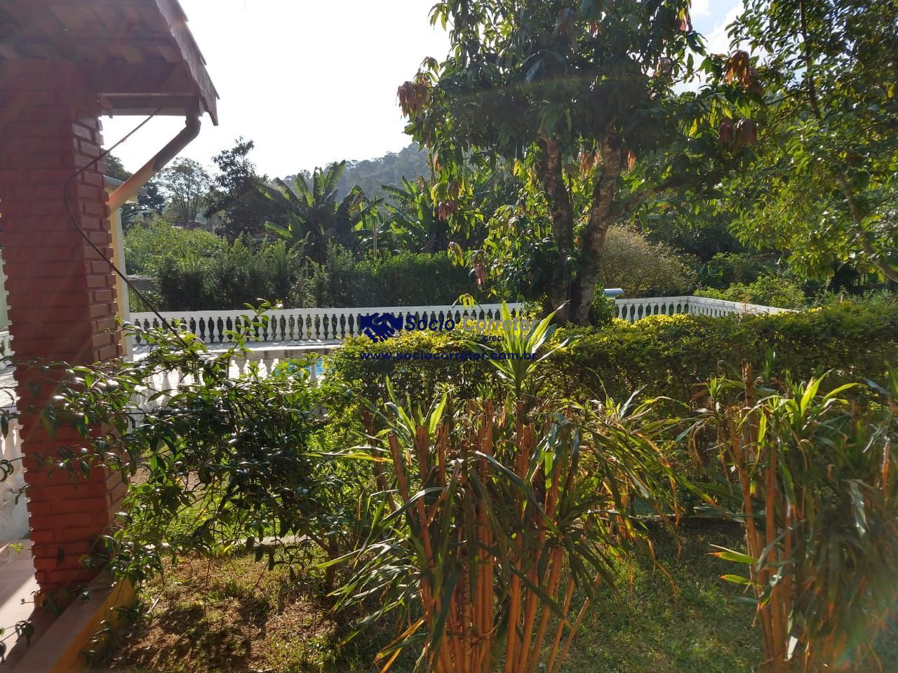 Chácara, 4 quartos, 3000 m² - Foto 13