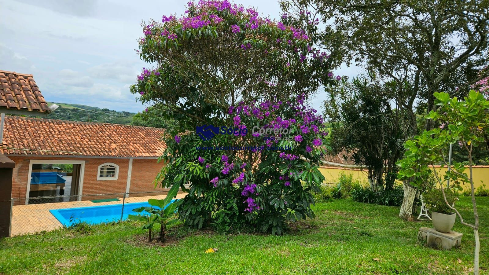 Chácara, 5 quartos, 3127 m² - Foto 1