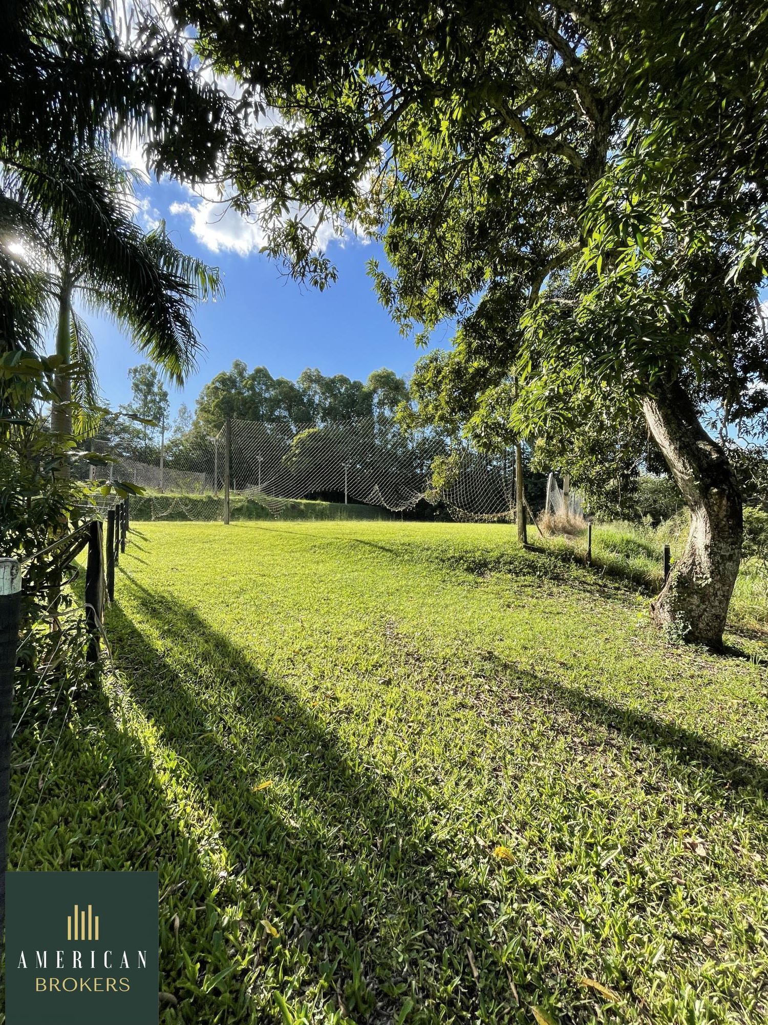 Fazenda à venda com 4 quartos, 300m² - Foto 8