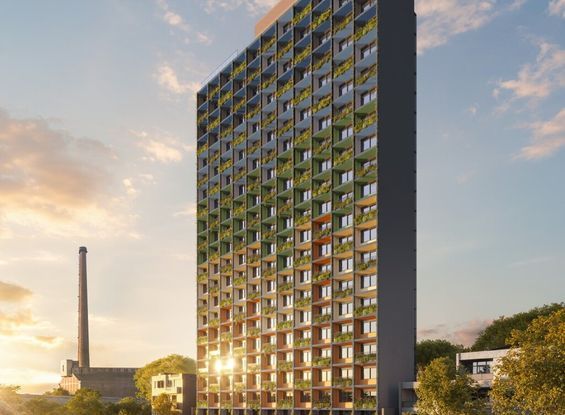 Caiz Downtown Sunset