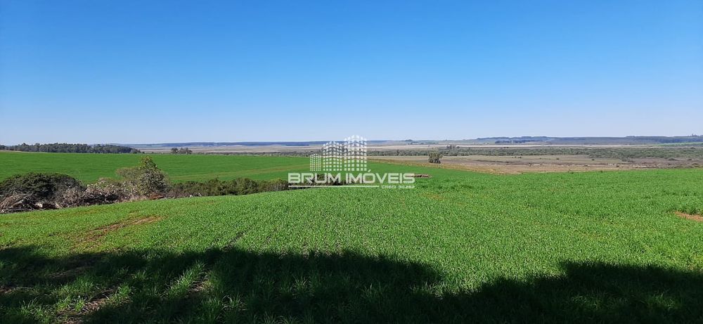 Campo Fazenda Em São Vicente Do Sul 9180