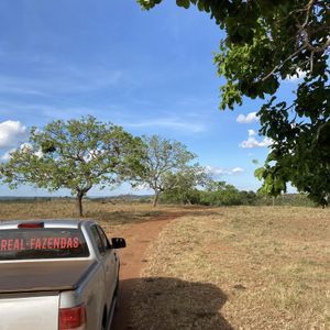 Ótima Fazenda de 146 alqueires à 40 kms de Palmas-To