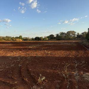 Fazenda em lavoura à venda em Formoso do Araguaia-To