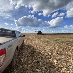 Fazenda em lavoura em Fátima do Tocantins