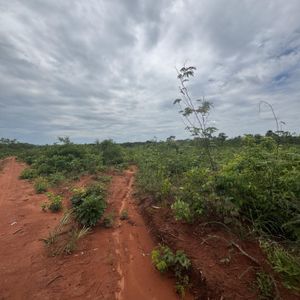 Fazenda de 93 alqueires com potencial para Pivô a venda no Tocantins