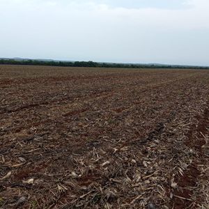 Fazenda argilosa com 630 hectares de lavoura à venda em Rio dos Bois-TO