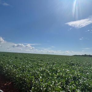 Fazenda à venda em Marianopolis do Tocantins