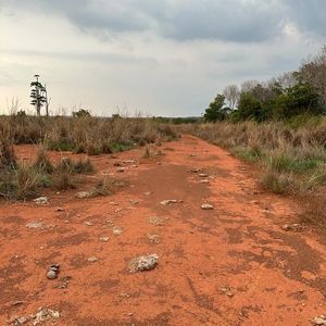 Fazenda à venda em Formoso do Araguaia-To