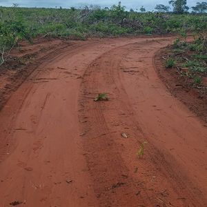 Fazenda à venda de 172 alqueires em Babaçulandia-TO