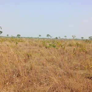 Fazenda para Pecuária e Lavoura à venda em Barra do Ouro-To