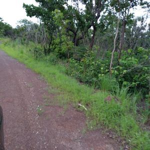 Fazenda à venda em Dianópolis-To