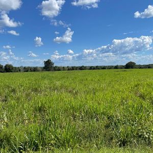 Fazenda à venda em Santa Maria do Tocantins