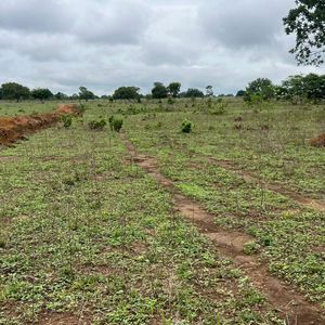 Fazenda à venda no Tocantins