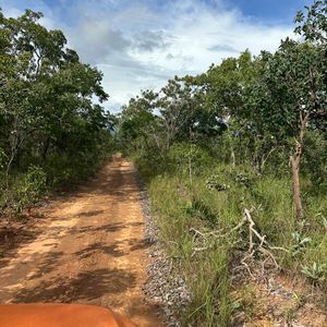 Oportunidade incrível de Fazenda de 641 alqueires em Lizarda-TO
