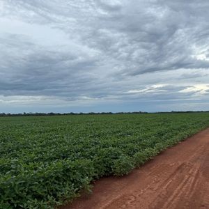 Fazenda de 443 alqueires a venda em Santa Rosa do Tocantins