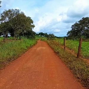 Fazenda à venda em Miranorte-To