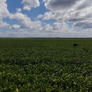 Fazenda à venda no Piauí-PI