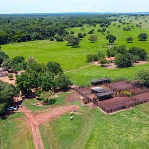 Fazendão de 607 alqueirões à venda em Formoso do Araguaia