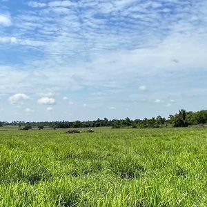 Fazenda as margens do asfalto em Araguanã-To