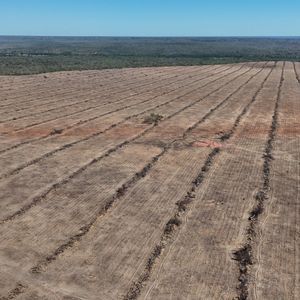 Área agrícola de 1.435 hectares à venda no Sul do Piauí