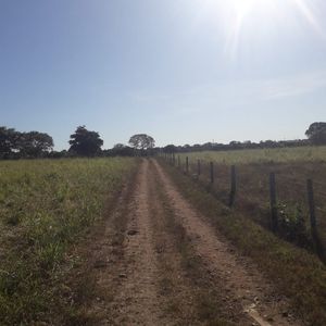 Fazenda à venda  as margens do Rio Formoso