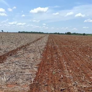 Fazenda agrícola à venda em Alvorada-To