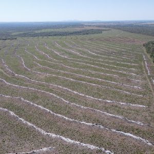 Fazenda Agrícola em Pium-To