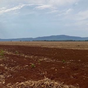 Fazenda em lavoura de 680 alqueires em Porto Nacional