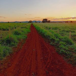 Fazenda de 425 alqueires a venda em Conceição do Araguaia-PA