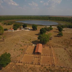 Fazenda de dupla aptidão em Araguaiana-MT