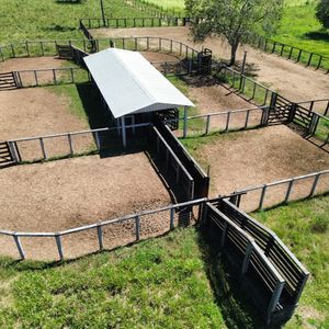 Fazenda montada em Pecuária de 117 alqueires a venda em Miranorte-TO