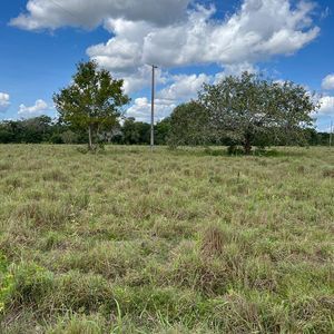 Fazenda à venda em Abreulândia-To