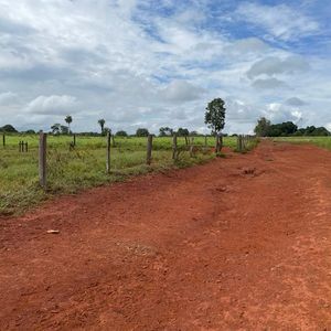 Excelente Fazenda de 288 alqueires próximo ao Café da Roça