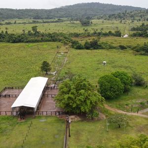 Vende-se Fazenda de 383 de Pecuária em Santana do Araguaia-PA