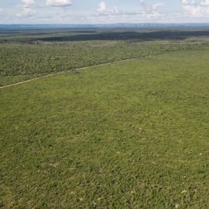 Fazenda à venda em Lizarda-To