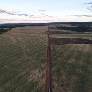 Fazenda à venda em Lavoura em Barrolândia do Tocantins