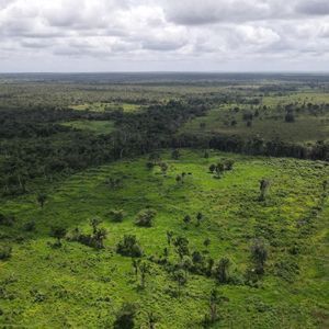 Fazenda à venda em Nova Olinda-To