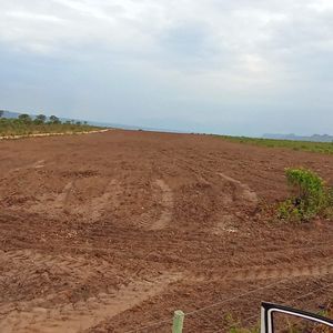 Fazenda de 190 alqueires para lavoura a venda no Tocantins