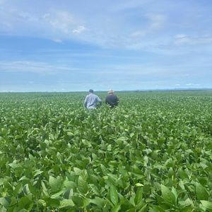 Fazenda gigante de 13.793 ha a venda no Centro do Tocantins