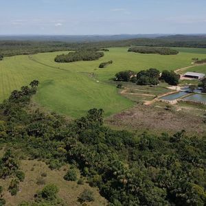 Fazenda de 300Alqueires à venda em Almas-To