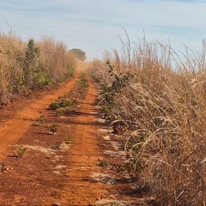 Fazenda de 498 alqueires de dupla aptidão à venda no Tocantins