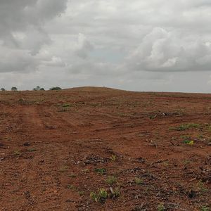 Fazenda à venda em Aparecida do Rio Negro-To